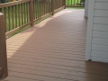deck--brushmasters-brown-beside-house.jpg